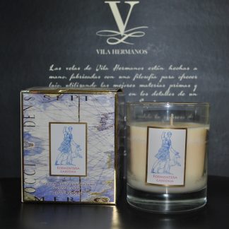 Φυτικό αρωματικό κερί Mediterraneo Formentera